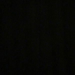 Meet your Posher, Weston